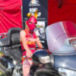 Profielfoto van spikey